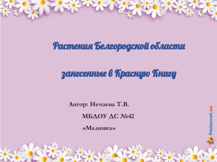 Растения Белгородской области занесенные в Красную КнигуАвтор: Нечаева Т.В.