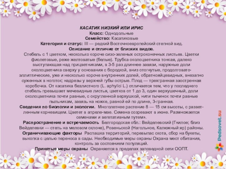 КАСАТИК НИЗКИЙ ИЛИ ИРИСКласс: ОднодольныеСемейство: КасатиковыеКатегория и статус: III — редкий Восточноевропейский степной вид.Описание и