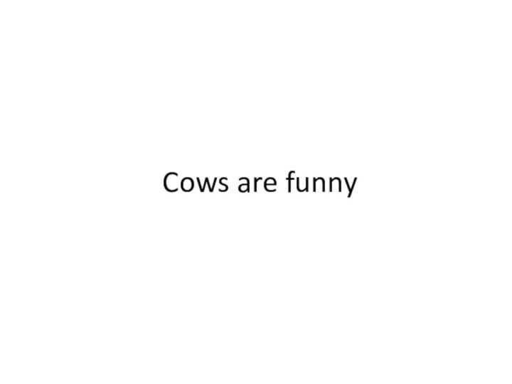 Cows are funny