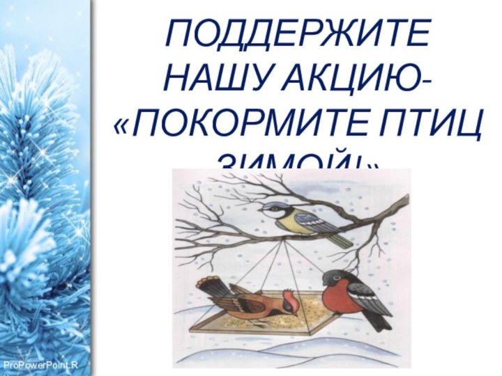 ПОДДЕРЖИТЕ НАШУ АКЦИЮ- «ПОКОРМИТЕ ПТИЦ ЗИМОЙ!»