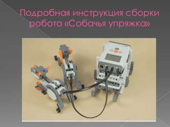 Презентация по робототехнике Собачья упряжка презентация к уроку (3 класс)