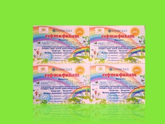 •	Участие в благотворительном концерте  Сулусчаан-Звездочка