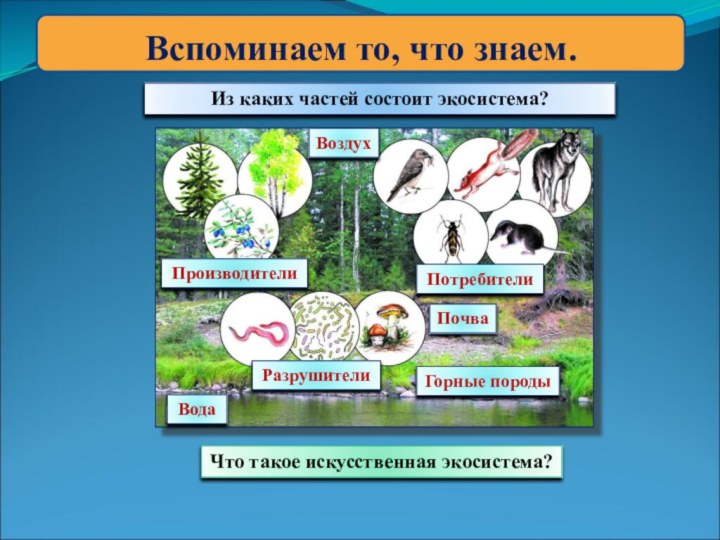 Вспоминаем то, что знаем.Из каких частей состоит экосистема?ВоздухВодаПочваГорные породыПроизводители Потребители Разрушители Что такое искусственная экосистема?