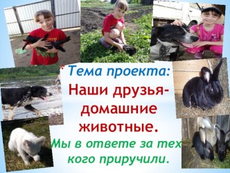 Наши друзья-домашниеживотные. проект