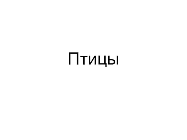 Птицы