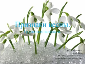 Презентация Признаки весны гр.раннего возраста презентация к уроку (младшая группа)
