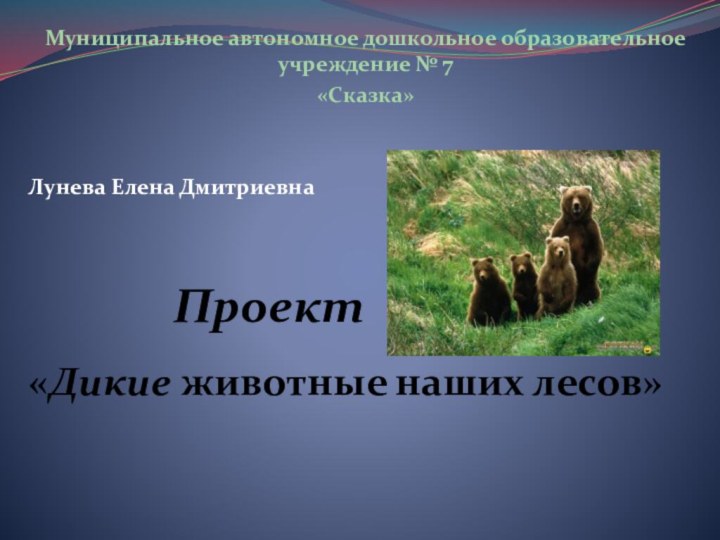 Муниципальное автономное дошкольное образовательное учреждение № 7«Сказка»  Лунева Елена Дмитриевна   Проект«Дикие животные наших лесов»