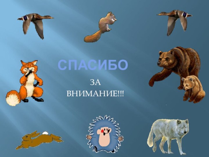 СпасибоЗАВНИМАНИЕ!!!