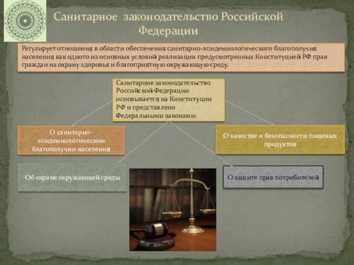 Санитарное законодательство Российской ФедерацииРегулирует отношения в области обеспечения санитарно-эпидемиологического благополучия населения как