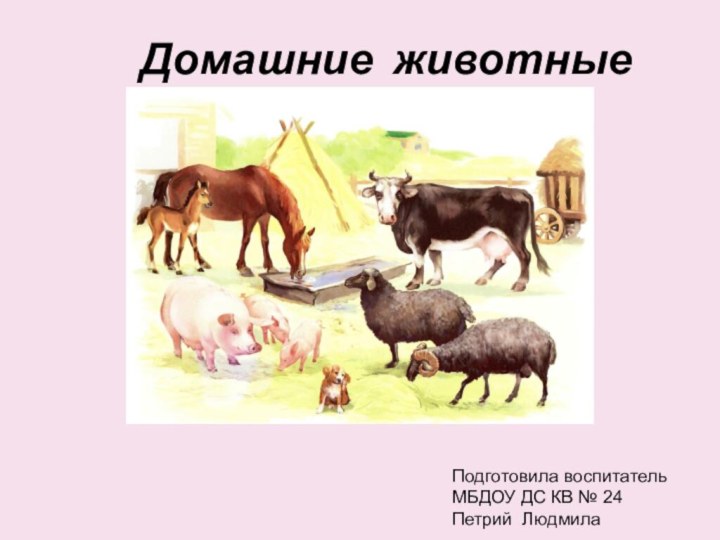 Домашние животные Подготовила воспитатель МБДОУ ДС КВ № 24 Петрий Людмила