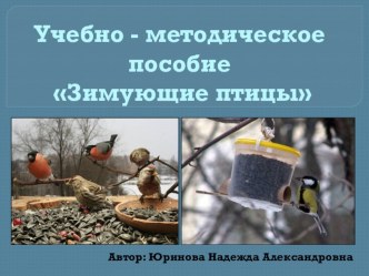 Учебно-методическое пособиеЗИМУЮЩИЕ ПТИЦЫ учебно-методическое пособие по окружающему миру (средняя группа)