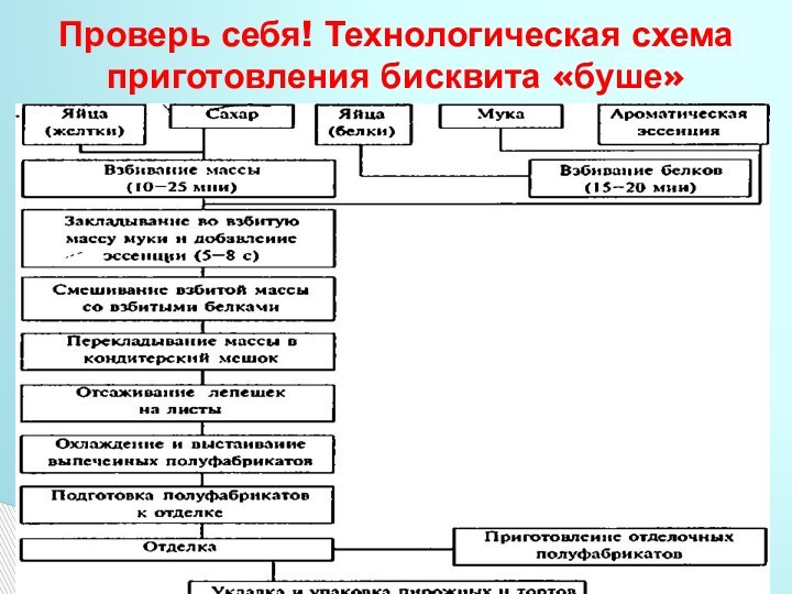 Проверь себя! Технологическая схема приготовления бисквита «буше»