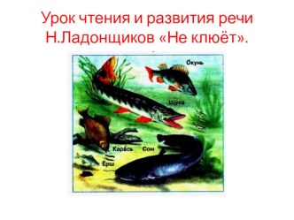 Презентация Н. Ладонщиков Не клюёт. презентация к уроку по чтению (3 класс)