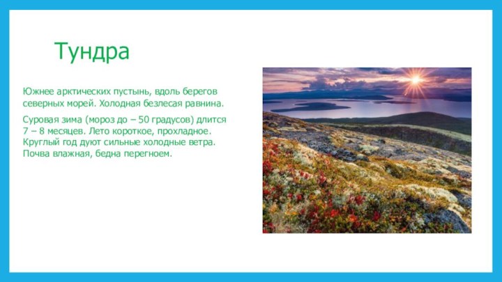 ТундраЮжнее арктических пустынь, вдоль берегов северных морей. Холодная безлесая равнина.Суровая зима (мороз