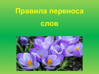 Конспект урока русского языка в 1 классе с использованием технологии проблемного обучения. план-конспект занятия по русскому языку (1 класс)