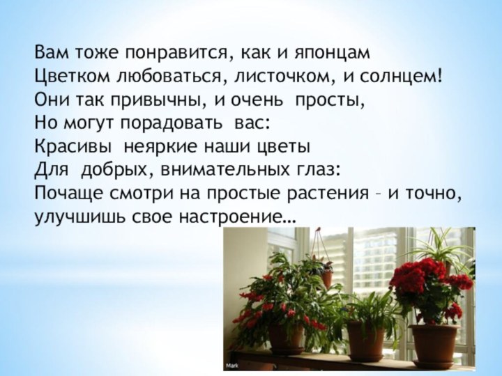 Вам тоже понравится, как и японцам Цветком любоваться, листочком, и солнцем! Они