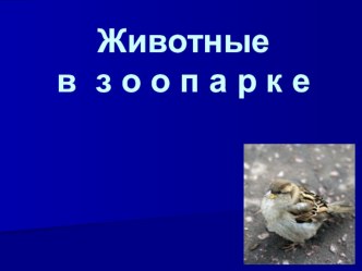 Животные в зоопарке презентация