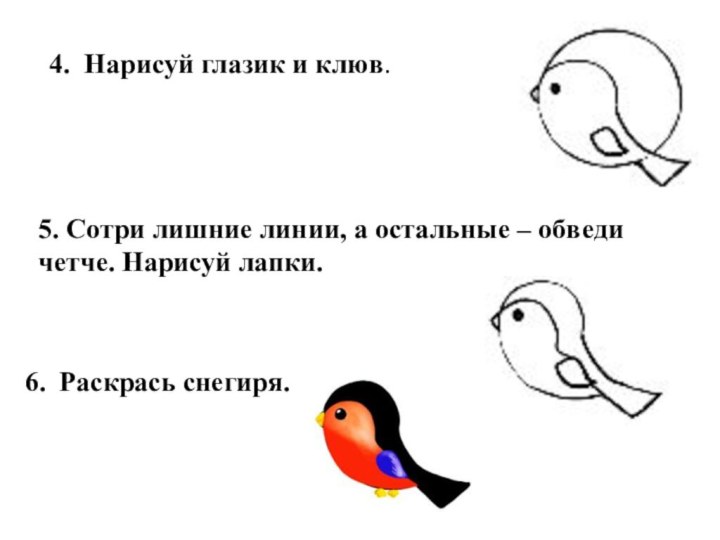 Раскрась снегиря.4. Нарисуй глазик и клюв.5. Сотри лишние линии, а остальные –