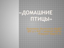 Презентация :Домашние птицы презентация к уроку по окружающему миру (младшая группа)