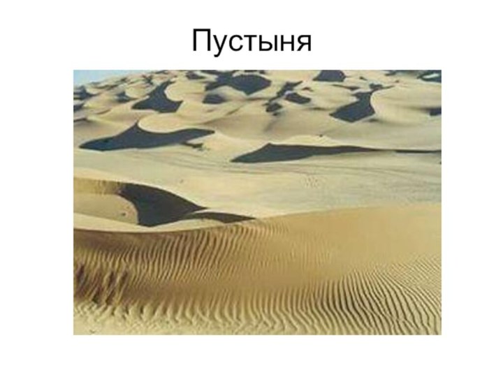 Пустыня