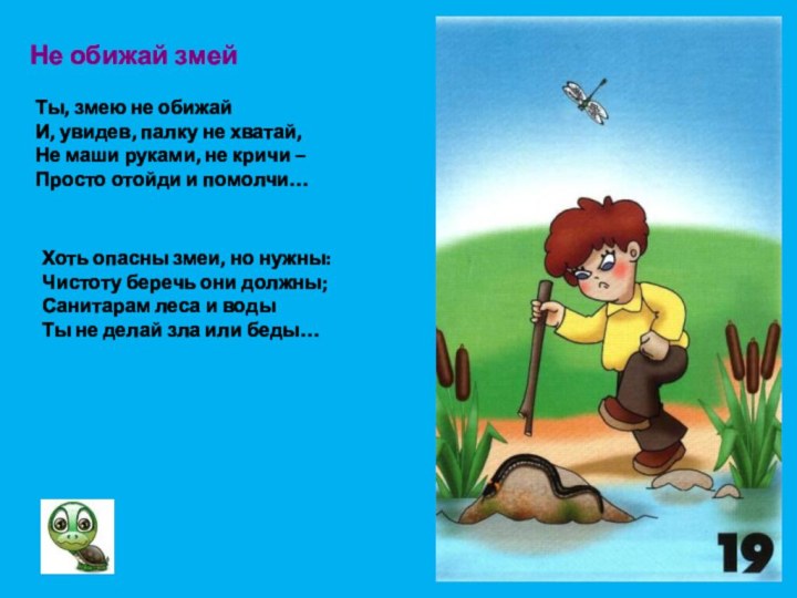 Не обижай змейТы, змею не обижайИ, увидев, палку не хватай,Не маши руками,