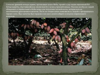 Презентация История шоколада презентация урока для интерактивной доски (старшая группа) по теме