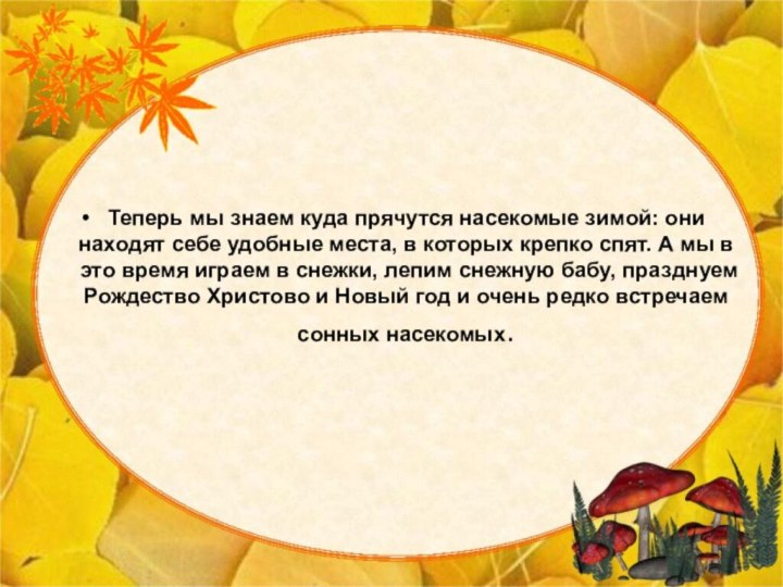 Теперь мы знаем куда прячутся насекомые зимой: они находят себе удобные места,