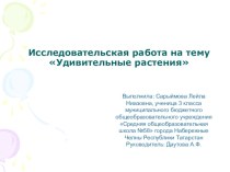 Исследовательская работа Удивительные растения презентация к уроку по окружающему миру (3 класс) по теме