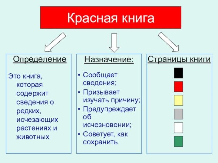 ОпределениеЭто книга, которая содержит сведения о редких, исчезающих растениях и животныхСтраницы книгиКрасная