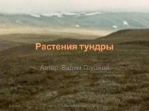 Растения тундры - презентация 4 кл презентация к уроку по окружающему миру (4 класс) по теме