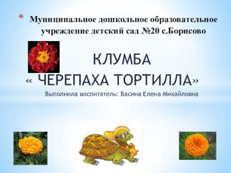 Клумба Черепаха Тортилла презентация по теме