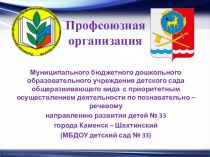 Публичный отчет первичной профсоюзной организации МБДОУ детский сад №33 презентация по теме