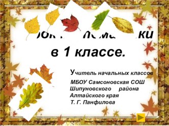 Урок математики в 1 классе. Тема: Что узнали. Чему научились. методическая разработка по математике (1 класс) по теме