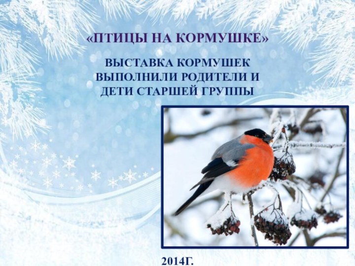 «ПТИЦЫ НА КОРМУШКЕ»ВЫСТАВКА КОРМУШЕК ВЫПОЛНИЛИ РОДИТЕЛи И ДЕТи СТАРШЕЙ ГРУППЫ2014г.