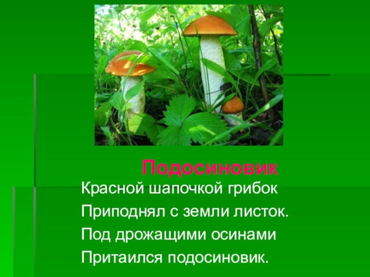 Красной шапочкой грибокПриподнял с земли листок.Под дрожащими осинамиПритаился подосиновик.Подосиновик