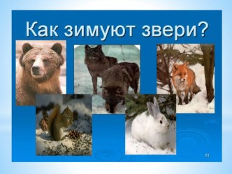 Презентация Как звери зимуют презентация к уроку по окружающему миру (старшая группа)