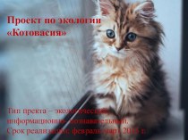 Котовасия презентация к уроку по окружающему миру (младшая группа)