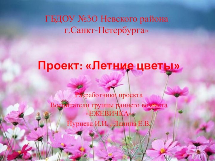 ГБДОУ №30 Невского района  г.Санкт-Петербурга»Проект: «Летние цветы»Разработчики проекта Воспитатели группы раннего