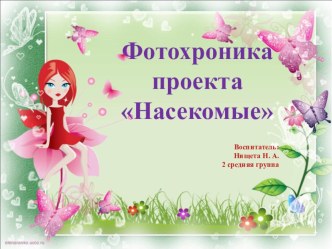 Фотохроника проекта в средней группе Насекомые проект (средняя группа) по теме