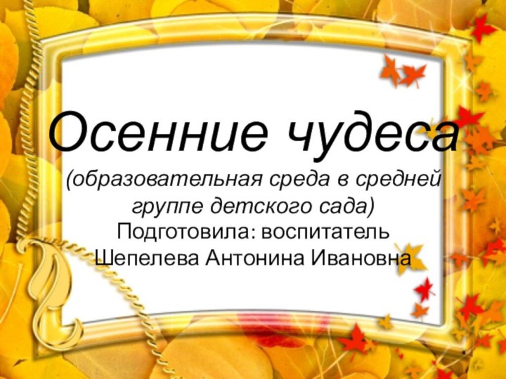 Осенние чудеса (образовательная среда в средней группе детского сада)Подготовила: воспитатель Шепелева Антонина Ивановна