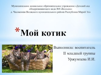 Проект Мой котик проект по развитию речи (младшая группа)