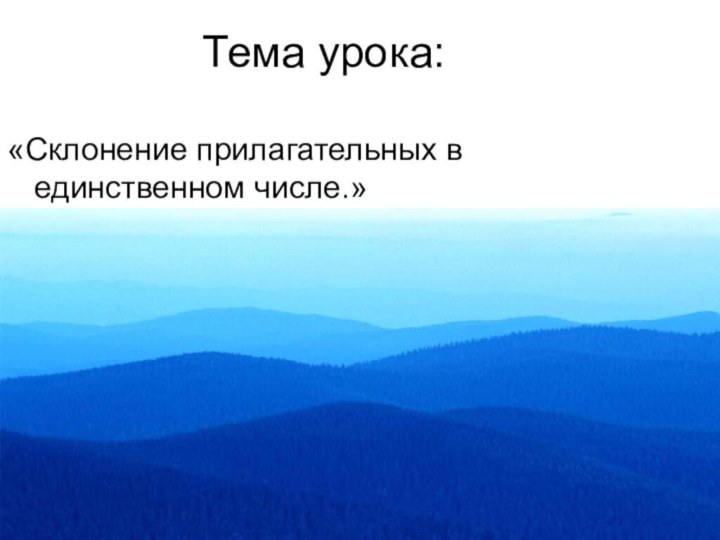 Тема урока:«Склонение прилагательных в единственном числе.»