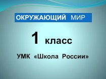 Презентация урока Кто такие рыбы? презентация к уроку по окружающему миру (1 класс)