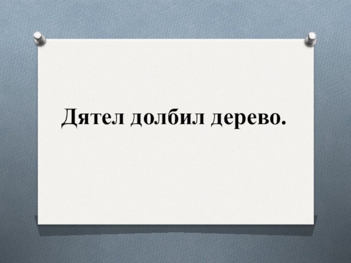 Дятел долбил дерево.