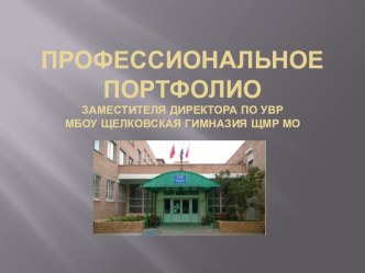 Профессиональное портфолио презентация к уроку