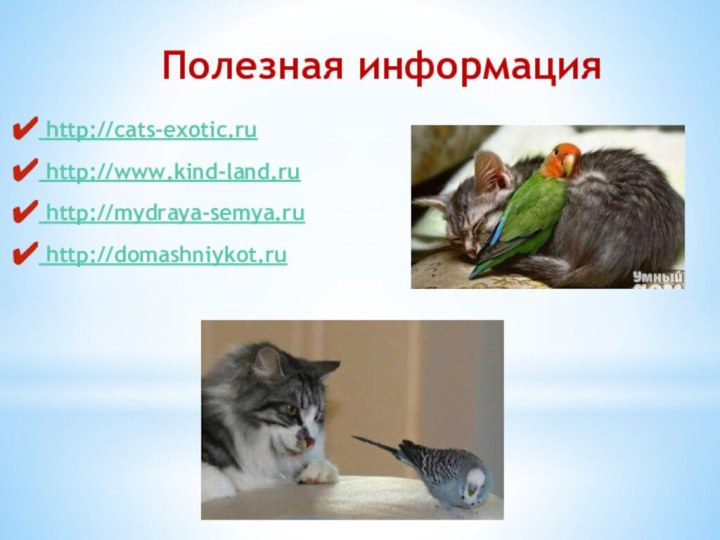 Полезная информация http://cats-exotic.ru http://www.kind-land.ru http://mydraya-semya.ru http://domashniykot.ru