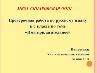 Проверочный тест по русскому языку в 3 классе по теме Имя прилагательное (обобщение изученного). УМК Школа России презентация к уроку по русскому языку (3 класс)