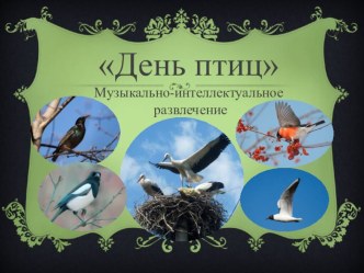 Игра День птиц презентация к уроку (старшая группа)