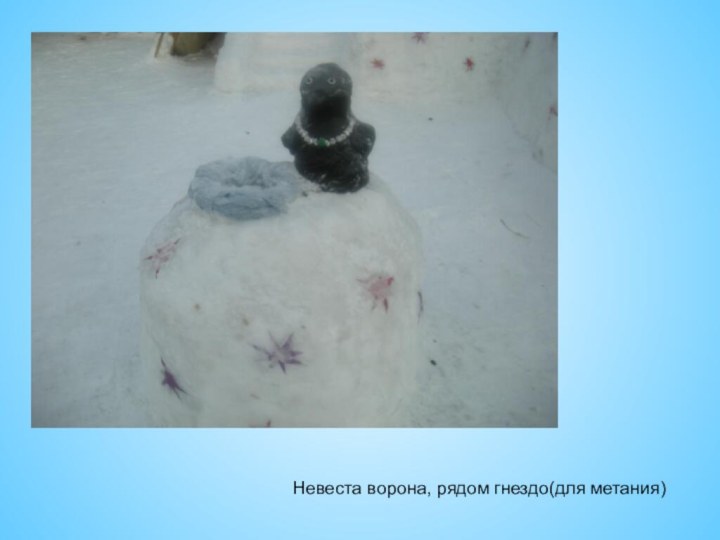 Невеста ворона, рядом гнездо(для метания)