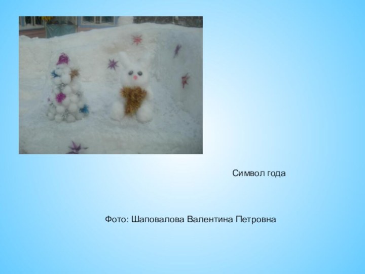 Символ года Фото: Шаповалова Валентина Петровна